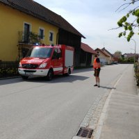 Maibaumaufstellen